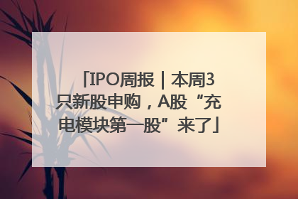 IPO周报｜本周3只新股申购，A股“充电模块第一股”来了
