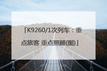 K9260/1次列车：重点旅客 重点照顾(图)